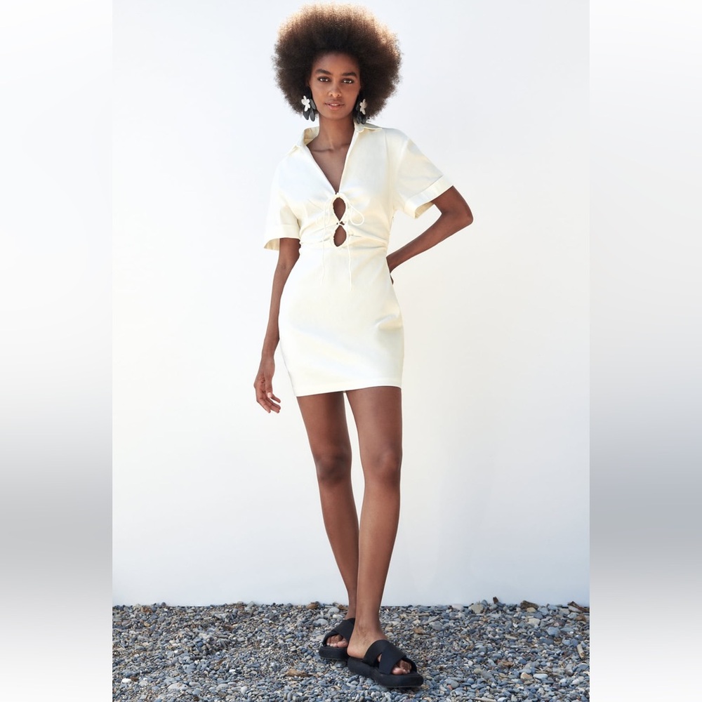 Zara dress